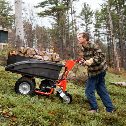 DR Powerwagon PRO XL800